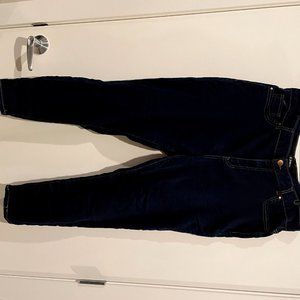 Dark Wash Stretch Skinny Jeans D. Jeans 20W